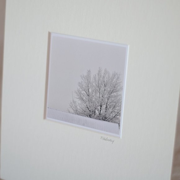 "Winter Study #4" Mini Photography Art Print - Picture 2 of 3
